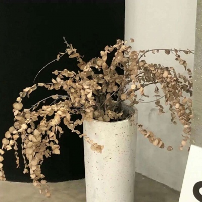 赣榆FurryQQ群介绍